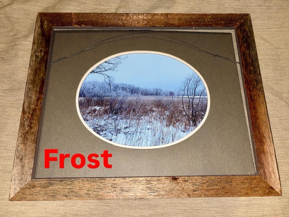“Frost” on the trees at Springbrook Nature Center in Fridley, Minnesota. 