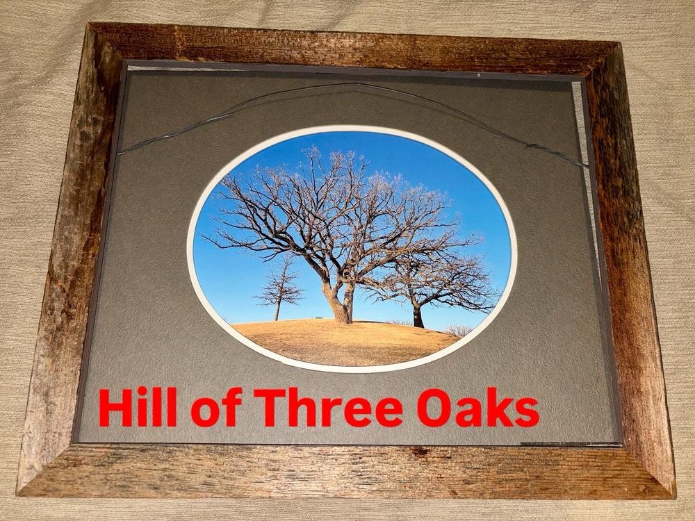 “Hill of Three Oaks” in the Carleton College Arboretum, named by the Reformed Druids of North America in 1964 and became their new sacred site. A stone altar caps the hill and bears the Druid Sigil. 