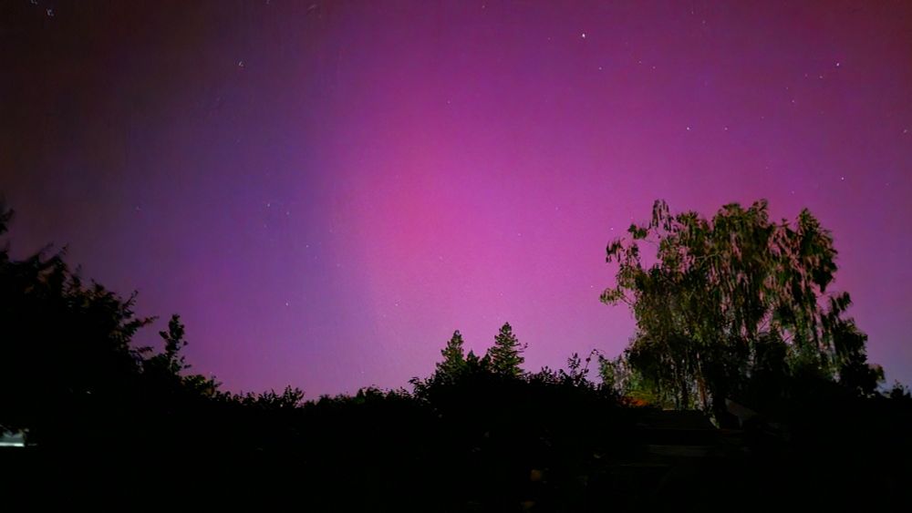 Northern lights in Woodland, California on 5/11/24