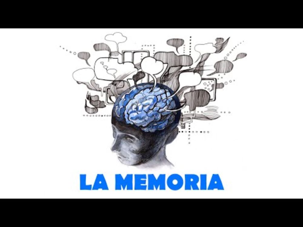 PSICOLOGÍA PARA EL DÍA A DÍA: La memoria