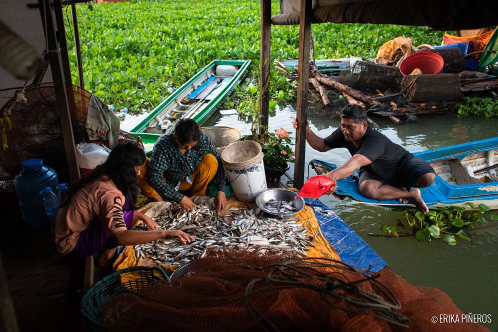 Chem Chan Kai, 40, unloads the fish from his boat after collecting the catch from the nets in the Tonlé Sap. His wife, Sinon, and daughter, Lisa, separate the fish to be sold at the market. Kampong Thom, Cambodia. © Erika Piñeros