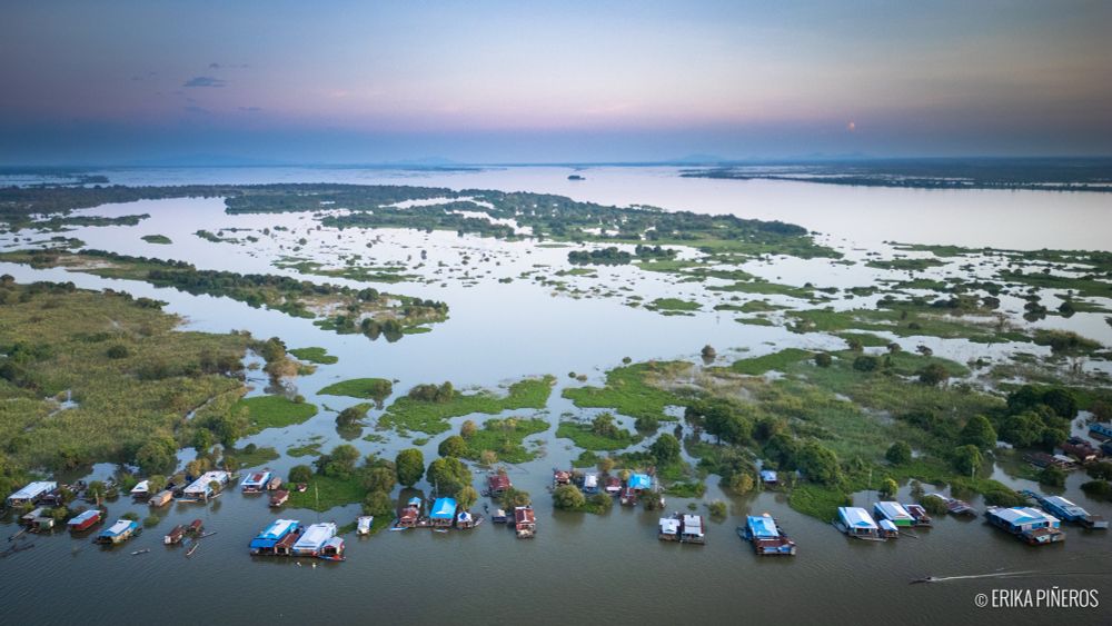 A bird’s eye view of floating villages in the Tonle Sap lake in Kampong Thom, Cambodia. © Erika Piñeros
