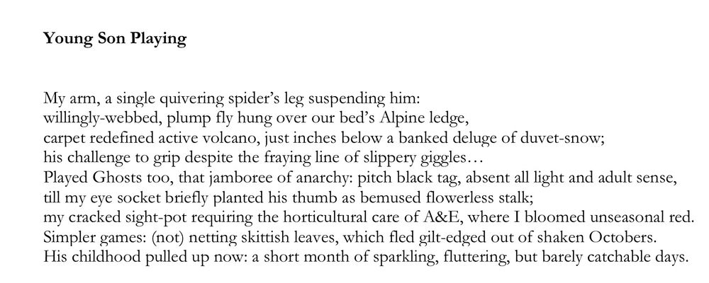 Young Son Playing


My arm, a single quivering spider’s leg suspending him:
willingly-webbed, plump fly hung over our bed’s Alpine ledge,
carpet redefined active volcano, just inches below a banked deluge of duvet-snow;
his challenge to grip despite the fraying line of slippery giggles…
Played Ghosts too, that jamboree of anarchy: pitch black tag, absent all light and adult sense,
till my eye socket briefly planted his thumb as bemused flowerless stalk;
my cracked sight-pot requiring the horticultural care of A&E, where I bloomed unseasonal red.
Simpler games: (not) netting skittish leaves, which fled gilt-edged out of shaken Octobers.
His childhood pulled up now: a short month of sparkling, fluttering, but barely catchable days.




