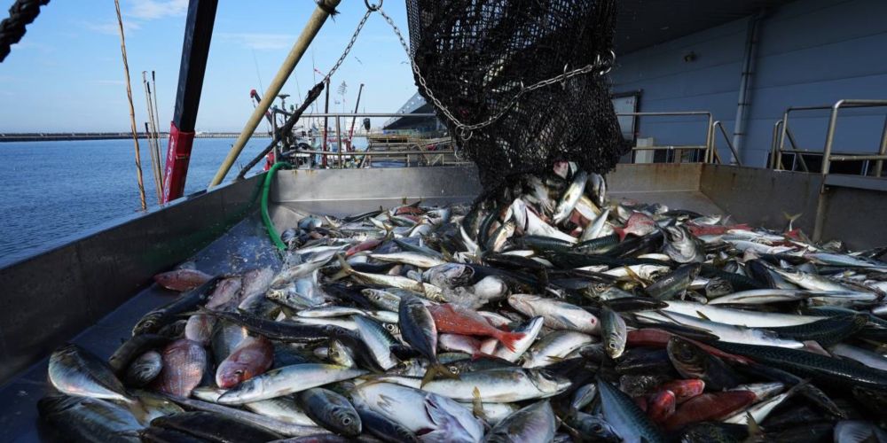 Chinese fishing boats active off Japan despite ban on seafood imports