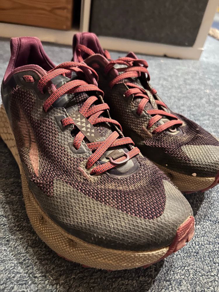 Alte ausgelatschte Altras