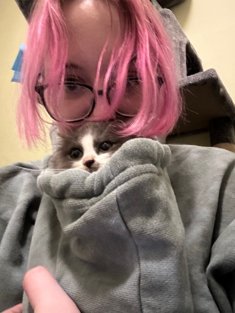 A person wearing a hoodie backwards so that the hood is in the front. A small, fluffy gray and white kitten is peaking out of the hood. 