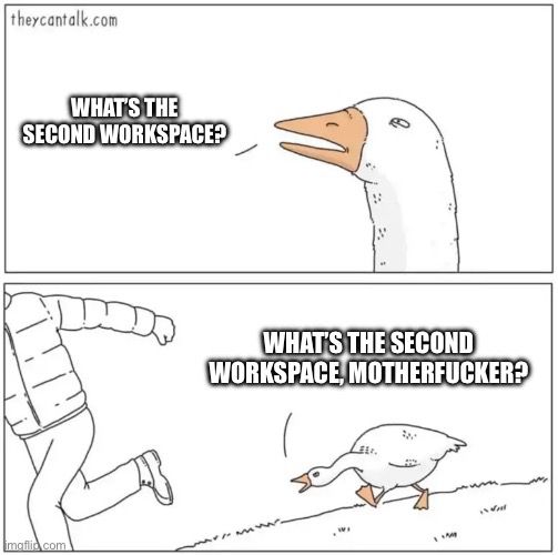 Top panel of a goose with narrowed eye, asking “What’s the second workspace?”
Bottom panel of the goose chasing a person, screaming “What’s the second workspace, motherfucker?”