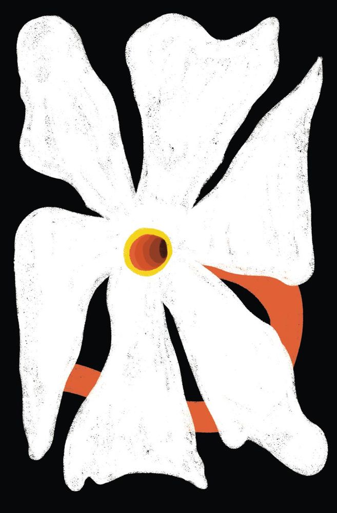 A graphic rendition of a Harsinghar flower