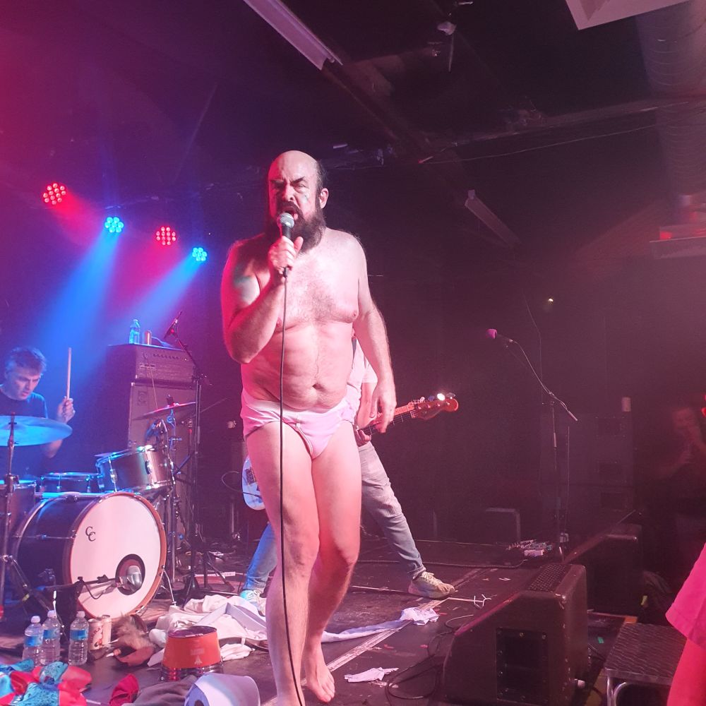 The resplendent Tim Harrington from Les Savy Fav, on stage in his pink y-fronts