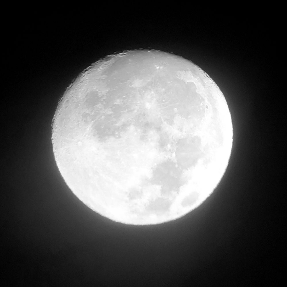Photo of a waxing gibbous moon against the black of night, as seen from a 9mm eyepiece on a Celestron Astromaster 114.