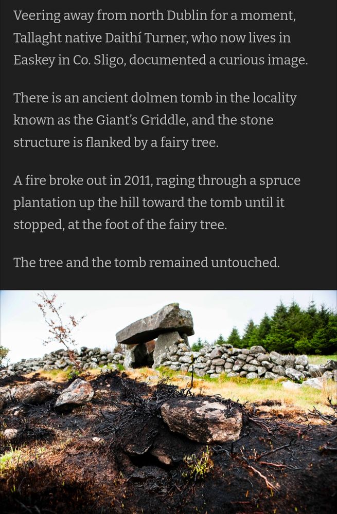 Veering away from north Dublin for a moment, Tallaght native Daithí Turner, who now lives in Easkey in Co. Sligo, documented a curious image.

There is an ancient dolmen tomb in the locality known as the Giant’s Griddle, and the stone structure is flanked by a fairy tree.

A fire broke out in 2011, raging through a spruce plantation up the hill toward the tomb until it stopped, at the foot of the fairy tree.

The tree and the tomb remained untouched.