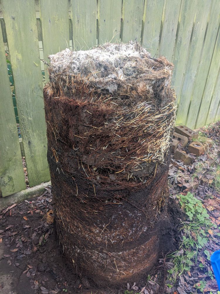 compost stack root bound