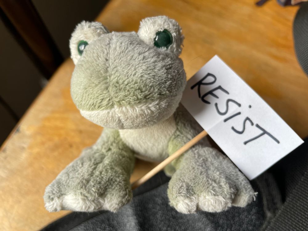 Elderly frog stuffie holds “Resist” sign he made wif a piece of paper and a toofpick. 