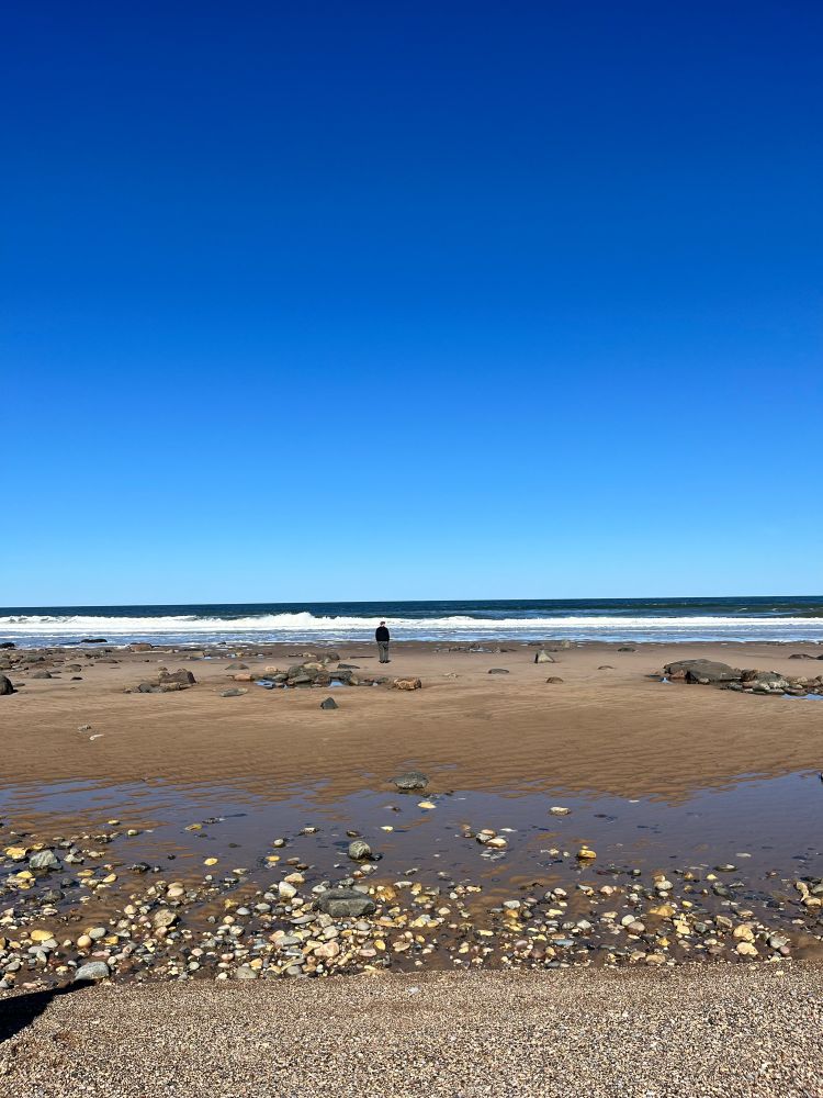 A bright blue, cloudless sky above a darker blue watery horizon. White wave caps are rolling in. A human figure wearing a black shirt and grey pants looks like a tiny speck standing upon beige tidal flats littered with multicoloured rocks. In the foreground, there’s a small pool of water and rocks, showing the great distance the water recedes at low tide. 