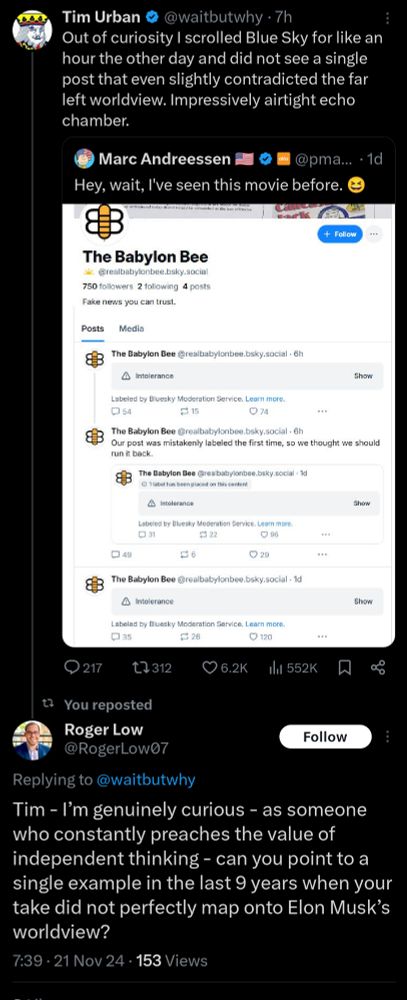 a screenshot from x - Elon fanboy tim urban calling bluesky an echo chamber