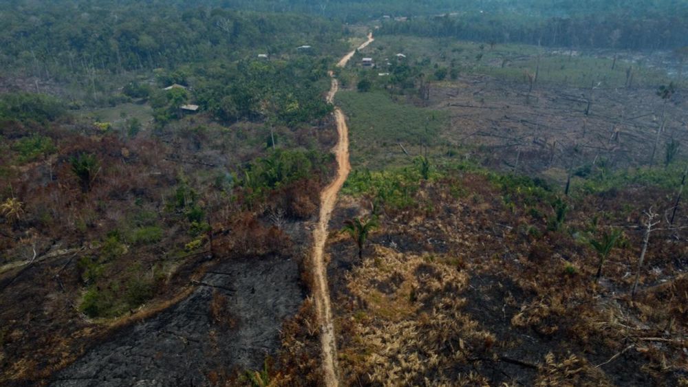 Umweltschützer des WWF schlagen Alarm