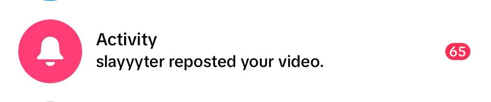 A screenshot of Tiktok saying “Slayyyter reposted your video.”