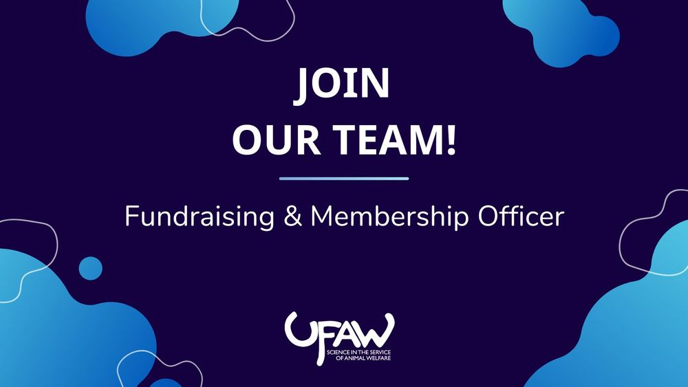 Join our team! Fundraising & Membership Officer position. UFAW logo at the bottom. Blue background with abstract blue shapes.