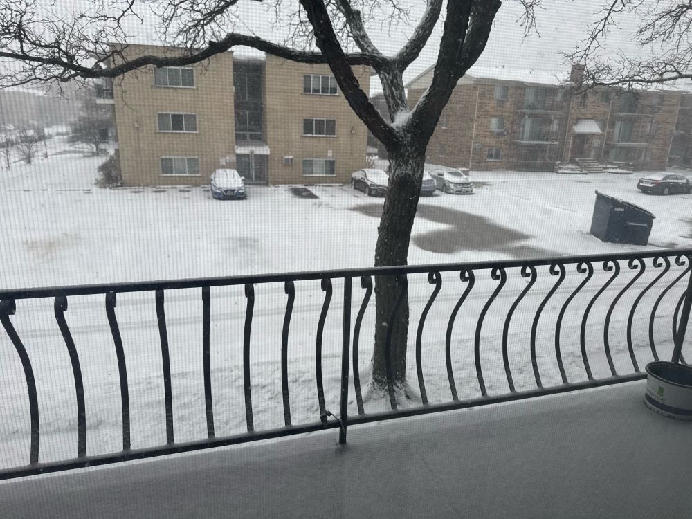 a photo outside a second story condo showing a balcony, a tree and a parking lot covered in a think layer of snow