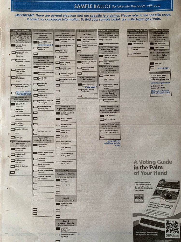 Mock-up of sample ballot for Washtenaw County (MI) showing Democratic/Dem-endorsed candidates, downballot & non-partisan races. 