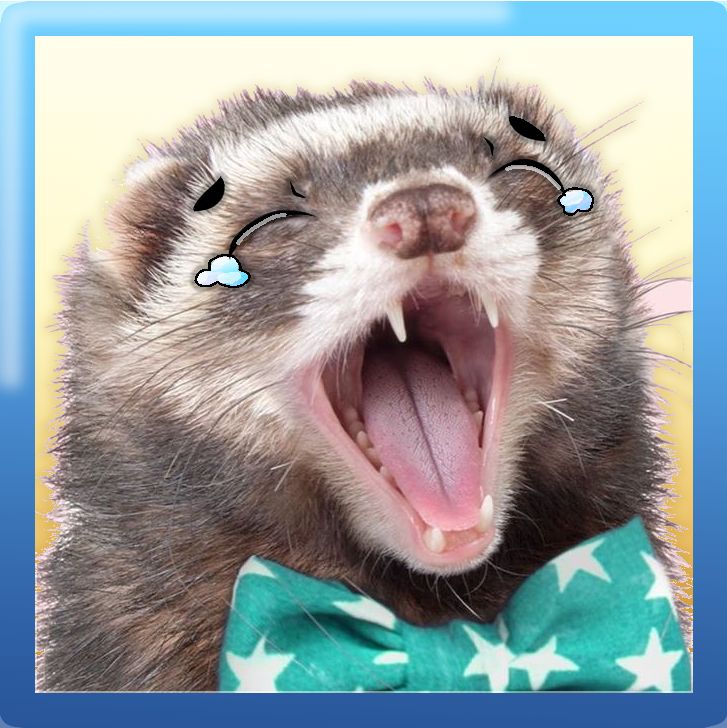 ferret pmd style joyous chat dialogue with touch ups