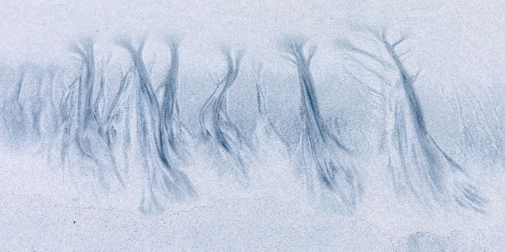 Das Bild zeigt eine hellgraue bis fast weiße Sandfläche. In der Mitte und über den unteren Bereich des Bildes verlaufen dunklere Linien im Sand, die sich wie dünne Verästelungen oder Wurzeln ausbreiten. Diese natürlichen Muster wirken wie Silhouetten von Bäumen oder Sträuchern ohne Blätter – als hätte jemand eine zarte Zeichnung von kahlen Bäumen in den Sand gemalt. Die Linien verlaufen nach oben, verästeln sich und verlieren sich sanft in der hellen Sandfläche. Es handelt sich um natürliche Strukturen, die durch Wasser (Gezeiten) entstanden sind.

Die Atmosphäre des Bildes ist ruhig und meditativ, fast wie ein abstraktes Kunstwerk der Natur.