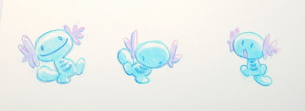 Three wooper doodles 
