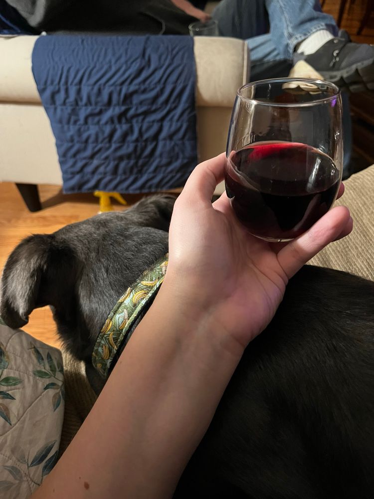 An extended arm holding a glass of red wine, resting on a large grey dog wearing a banana collar