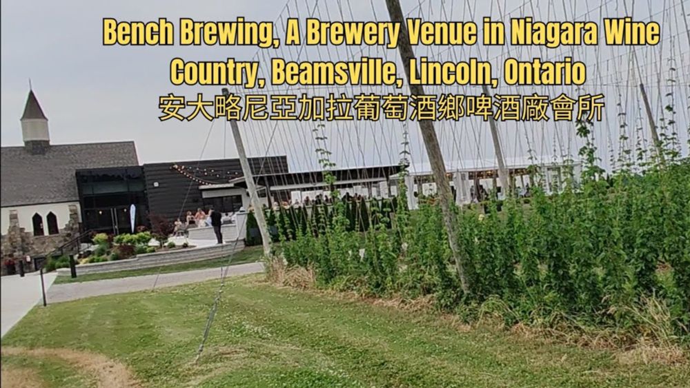 Venue: Bench Brewing, Brewery in Niagara Wine Country, Beamsville, Lincoln, Ontario 安大略尼亞加拉葡萄酒鄉啤酒廠會所