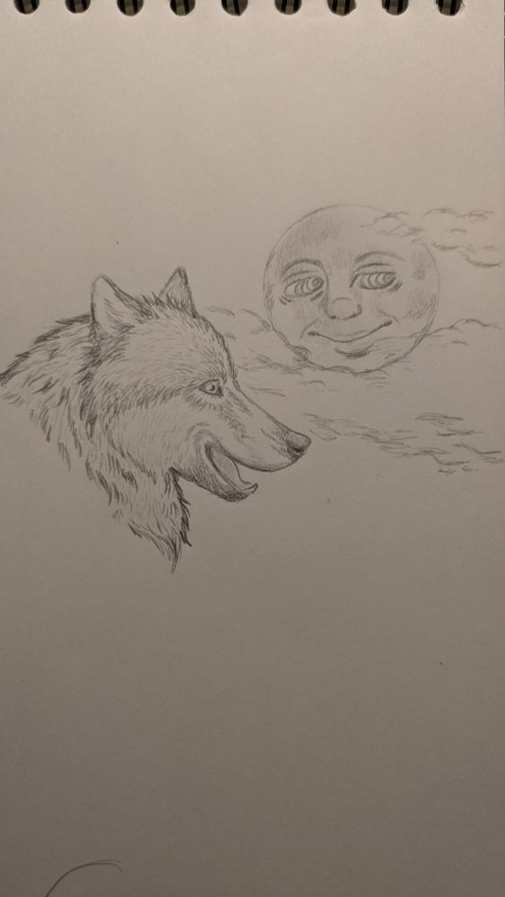 Drawing of a smiling wolf looking at the man in the moon