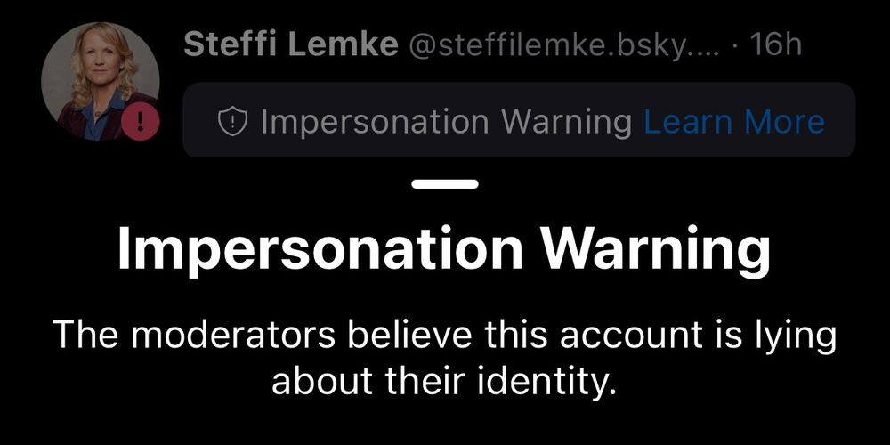 „Impersonation Warning“ wird auf dem Profil Steffi Lemke angezeigt.