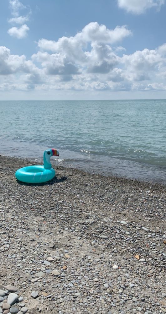 lake erie with a blue pelican-shaped ring float 