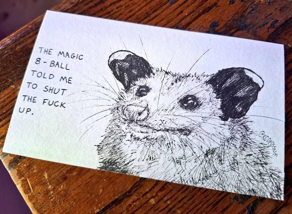 Ink pen illustration by @kcopossum of an opossum looking like an idiot with the written words "the magic 8-ball told me to shut the fuck up"