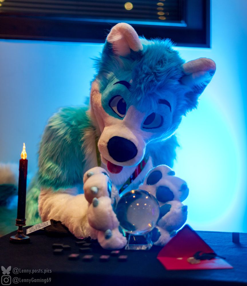 Cyan-white colored husky fursuit holding and looking closely into a glass ball resting on a black table. The table has a mysterious candle and other magic artifacts on it. The husky is submerged in a blue glow and looks derpy with his tongue out.