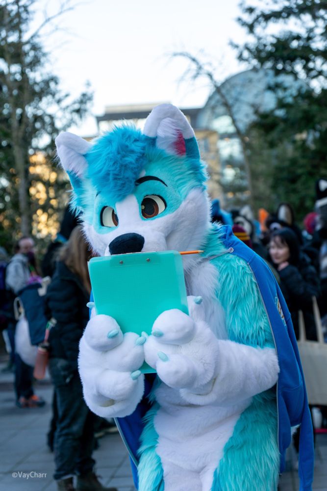 Blue and white anthropomorphic husky peeking over a clipboard he’s holding, looking at you.