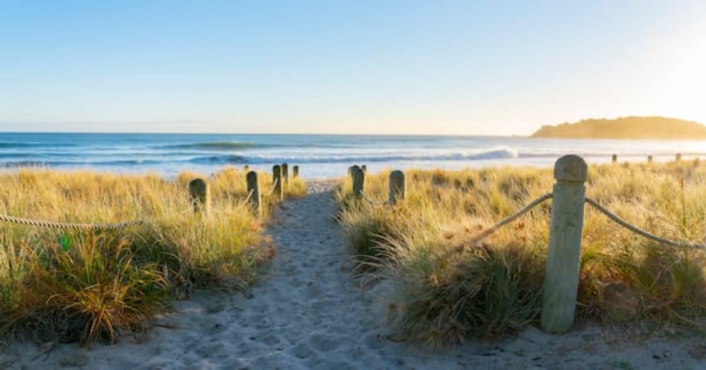 Analysis: No, Māori aren't taking over NZ's beaches