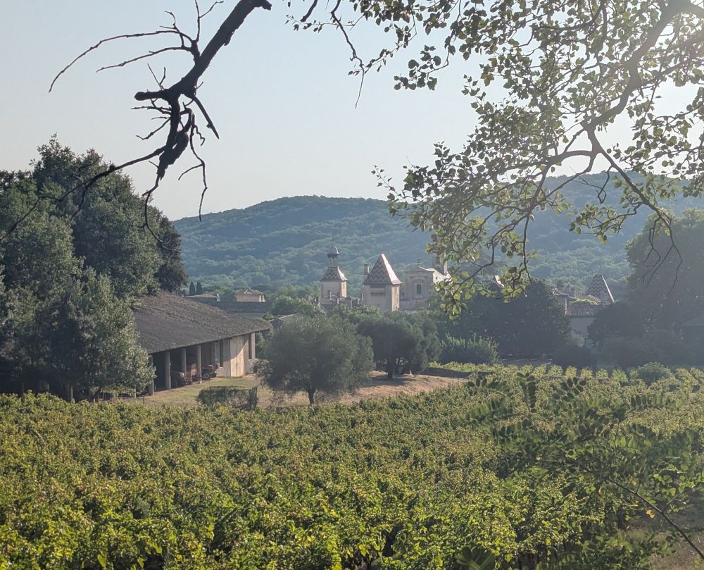 The Chartreuse de Valbonne charterhouse from afar