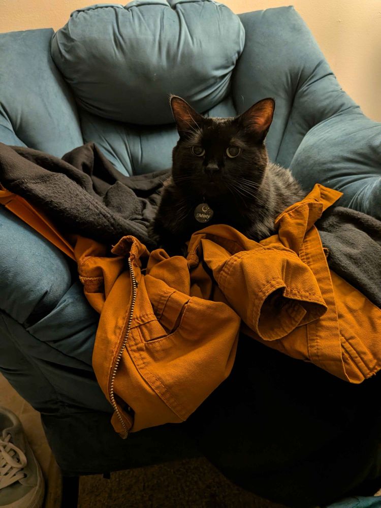 A black cat sits on top of several coats her moms foolishly piled in a comfy chair