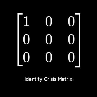 [1 0 0,
0 0 0,
0 0 0]
 Identity crisis matrix 