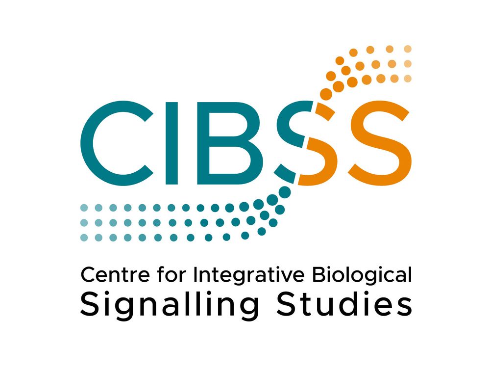 Logo of the Cluster of Excellence CIBSS at the University of Freiburg, Germany.