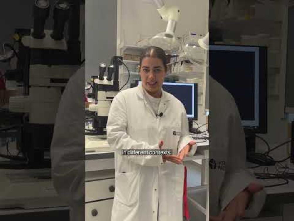 Advances in Stem Cell Biology Pasteur Course - Insights from participant