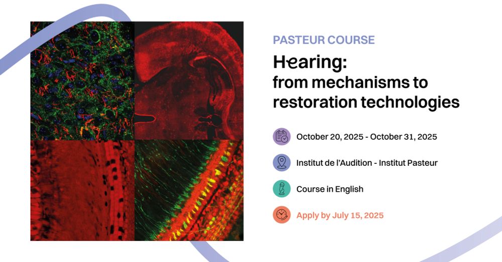 Pasteur Course: Hearing: from mechanisms to restoration technologies
📍 Institut de l’Audition – Institut Pasteur
 📅 October 20–31, 2025
 🗣️ Course in English
⌛Registration deadline: July 15, 2025
