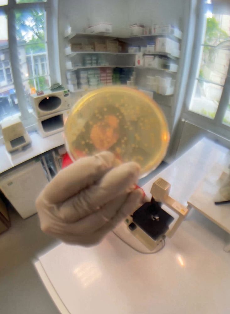 The Institut Pasteur PhD Student Yaëlle Wormser holding a petri dish in font of the camera