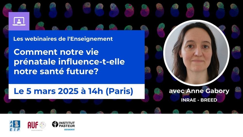 Les webinaires de l'enseignement "Comment notre vie prénatale influence-t-elle notre santé future ?" le 5 mars 2025 à 14h via zoom avec Anne Gabory qui travaille à l'INRAE. inscription nécessaire.