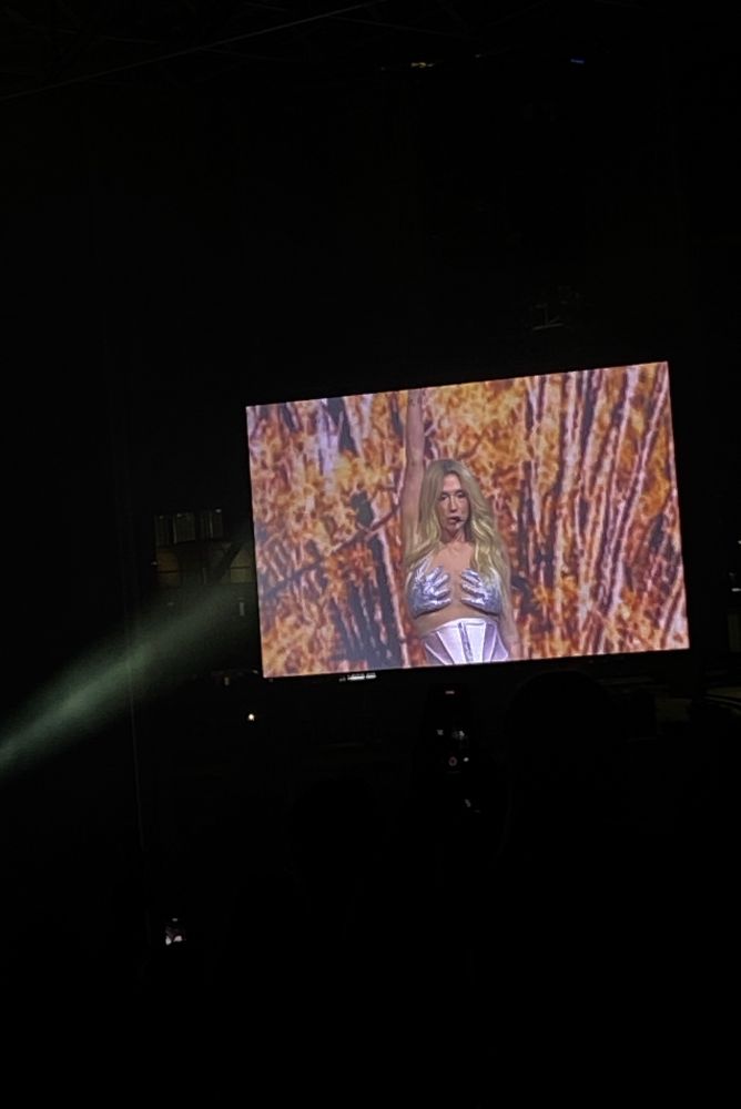 A pic of Kesha on the big screen at her concert. She’s wearing an outfit that has silver glittery hands that cover her tits. 