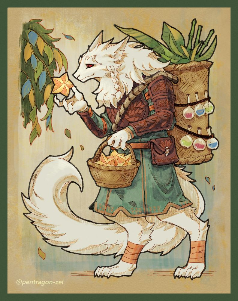 Illustration of kipine's original species, Veir. This one has white fluffy fur, a small braid on the side and red eyes. They are holding a star shaped fruit one on hand and a basket of them on the other. They are wearing some leather armour and carrying a large basket with plants in it and vials hanging off it.