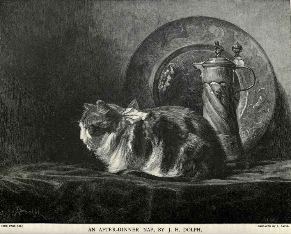 "An After Dinner Nap"
Art by J.H. Dolph
1892