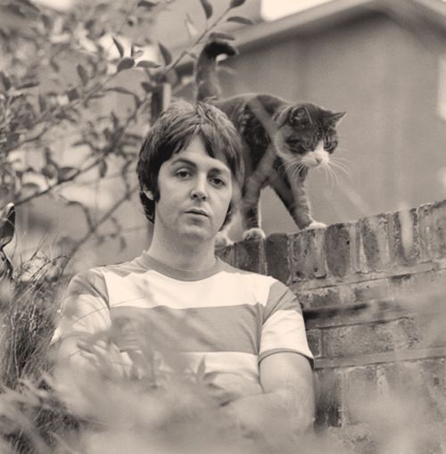 Paul McCartney