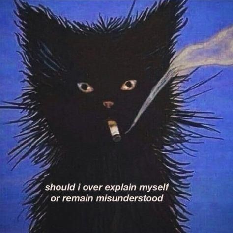 Badass cat ponders whether to be transparent or mysterious on social media 
“Should I over explain myself or remain misunderstood “
