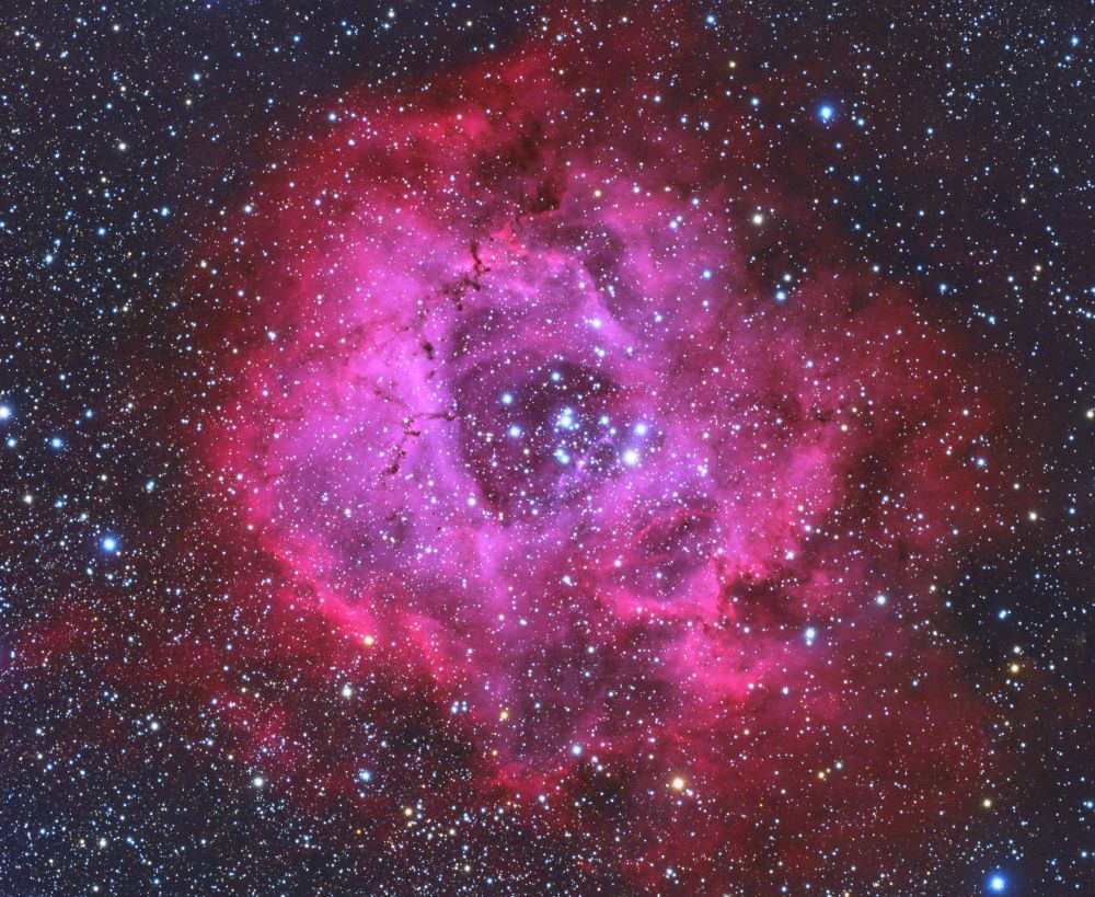 Rosette Nebula HaRGB